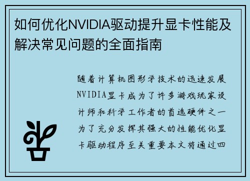 如何优化NVIDIA驱动提升显卡性能及解决常见问题的全面指南